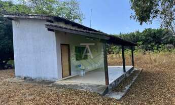 Imagem 2: Fazenda de 30 alq em Cedrolina-GO