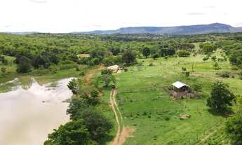 Imagem 3: ? FAZENDA ? Fazenda / sítio com venda por R$120.000