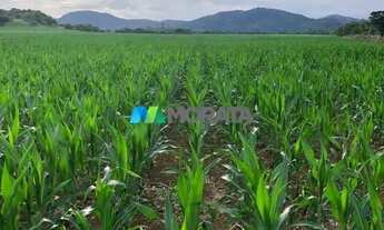 Imagem 6: FAZENDA À VENDA - 4.665 HECTARES - REGIÃO DE PONTE NOVA (MG