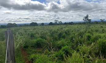 Imagem 7: Fazenda c/ 277he, 140he formados, Agua Fria, Chapada dos Guimarães-MT