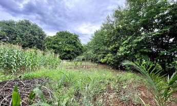 Imagem 5: Urgente: Lote Gigante 737,50m2 no Sitios de Recreio Alvorada. No Asfalto. Direto c/ Dono