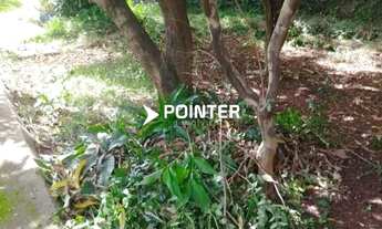 Imagem 6: Lote de 455 m² à Venda no Setor Jardim América Próximo ao Hospital Jardim América!