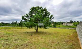 Imagem: Vendas Terreno Quatro Barras PR