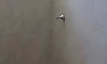 Imagem 3: Alugo apartamento em gramame