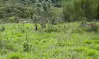 Imagem 5: TERRENO EM LOCALIZAÇÃO PRIVILEGIADA À VENDA!