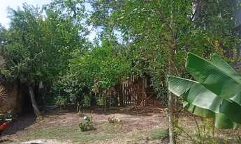 Imagem 2: Terreno Nova Petrópolis para venda 500m2 Local Privilegiado 10 x 50