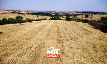 Imagem 2: Chácara bem localizada e com grande potencial de produção