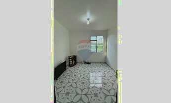 Imagem: Eucalipto com 2 quartos, no Parque das Laranjeiras