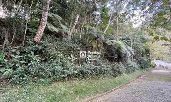 Imagem 2: Terreno com RGI , 2345 m² à venda por R$ 350.000 - Mury - Nova Friburgo/RJ