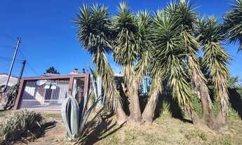 Imagem 2: Excelente imóvel super Arborizado