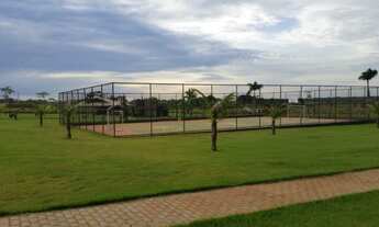 Imagem 5: Já dizia o Pedrão: - Quem compra terre não erra