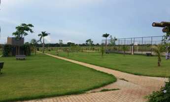 Imagem 4: Já dizia o Pedrão: - Quem compra terre não erra