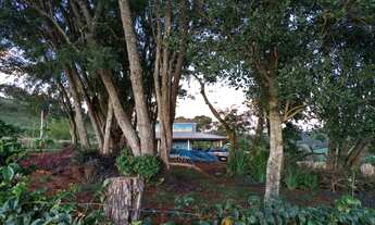 Imagem 7: Chácara 2 Hectares, localizada na Comunidade São Salvador/Cvel