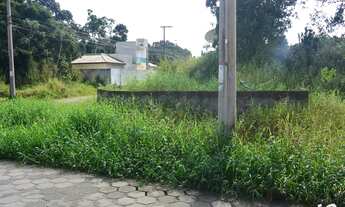 Imagem 4: Terreno em Peruíbe, com 250m², alto, rua com calçamento, iluminação publica, rede de água