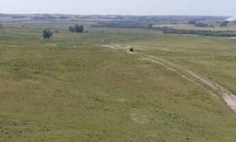 Imagem: Fazenda 680 alqueires / Peixe, Tocantins