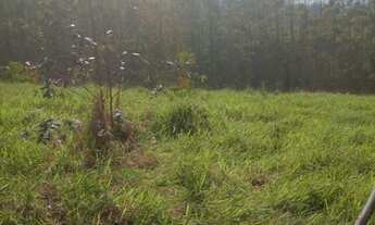 Imagem 3: Lote/Terreno para venda com 1000 metros quadrados em Pouso Alegre - Santa Isabel - SP