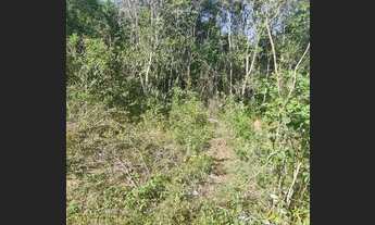 Imagem 2: Lindíssimas Chácaras escrituradas, localizadas em Viamão!