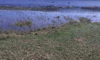 Imagem: Fazenda Ribas divisa com Suzano