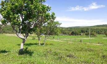 Imagem 5: Chácara à 30 km de Anápolis-Go. Tamanho: 3.000 M2