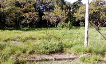 Imagem: Terreno rural