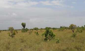 Imagem 3: Fazenda com 3000 hectares Bonfim/RR a 70 km de Boa Vista, região do São Francisco, Beira A