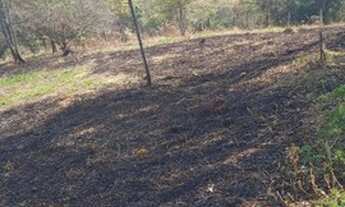 Imagem 2: CASA ESCRITURADA COM 3312M²