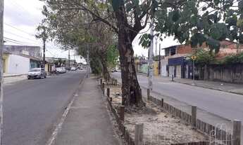 Imagem 3: Casa na Av: Lineu Machado