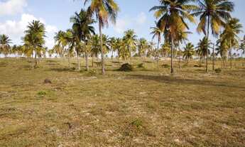 Imagem 6: LOTE 2.245,90 M² em Sítio do Conde