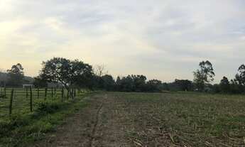 Imagem 3: 6,5 Hectares em Maracajá / SC