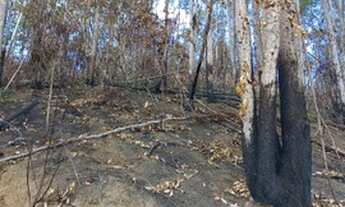 Imagem 3: Terreno em Domingos Martins 6.000m²