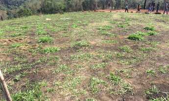 Imagem 6: Vendo meu terreno na Zona Norte de SP!