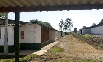 Imagem 7: GRANJA MAIS PROPRIEDÁDE<br><br><br>Fazenda/Sítio/Chácara para venda poss