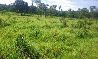 Imagem 3: Chácara 1.800m² 100% plana, toda terra de plantio, Jaboticatubas (Temos varias opções)