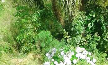 Imagem: Terreno para Venda em Planta Meireles Sobrinho