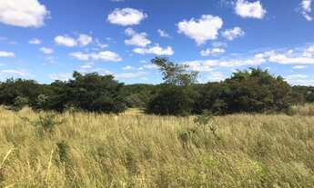Imagem 3: Excelente fazenda em terra de cultura em 100 hectares
