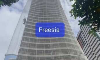 Imagem: Em fase final de construção, Freesia ap