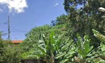 Imagem 5: Arujá - Terreno Padrão - Vila Pilar