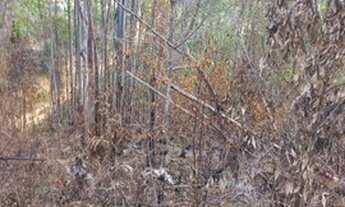 Imagem 2: Terreno em Domingos Martins 6.000m²