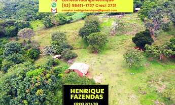 Imagem: Fazenda Luzimangues 216 hectares 25 km