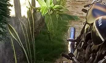 Imagem 3: Casa no ponto de morar no Pacheco