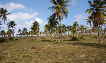 Imagem 5: LOTE 2.245,90 M² em Sítio do Conde