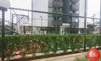 Imagem 4: São Paulo - Apartamento Padrão - Mooca