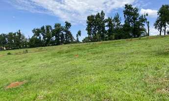 Imagem 6: Terrenos demarcados!!