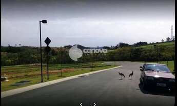 Imagem 3: Terreno - Loteamento Residencial Pedra Alta (Sousas) - Campinas