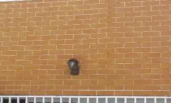 Imagem 3: São Paulo - Casa Comercial - Tatuapé