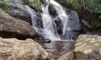 Imagem 3: Terrenos demarcados!!