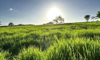 Imagem 2: Linda chacara Chácara com venda por R$1.200.000