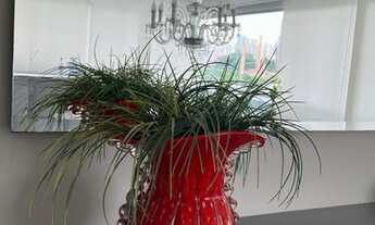 Imagem 3: Apartamento para venda de 79 metros, reformado a venda no Jardim das perdizes-SP