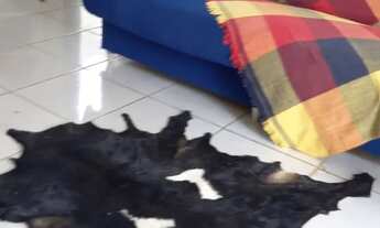 Imagem 7: CASA MOBILIADA NA MASSAGUEIRA, MARECHAL DEODORO AL