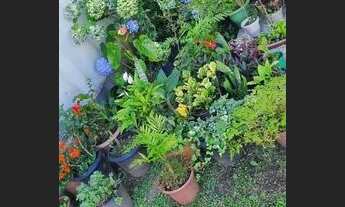 Imagem 5: Apartamento para Venda - 72.35m², 3 dormitórios, Jardim Sabará